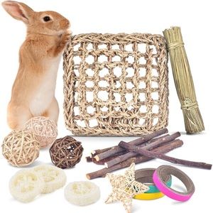 # Rabbit Bunny Chew Toy Treats Supports Teeth Grinding Improves Dental Health